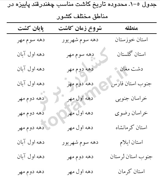تاریخ و زمان کاشت چغندر قند