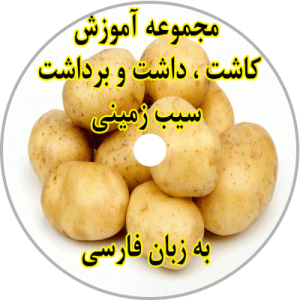 education-planting-potatoes
