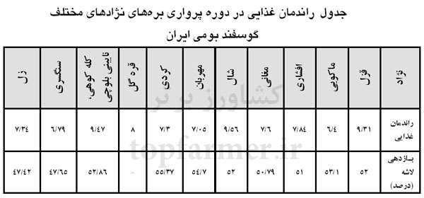 نژاد گوسفند پرواری و بهترین نژادهای گوسفند گوشتی بومی ایران